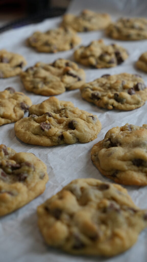 chocolate chip cookies
