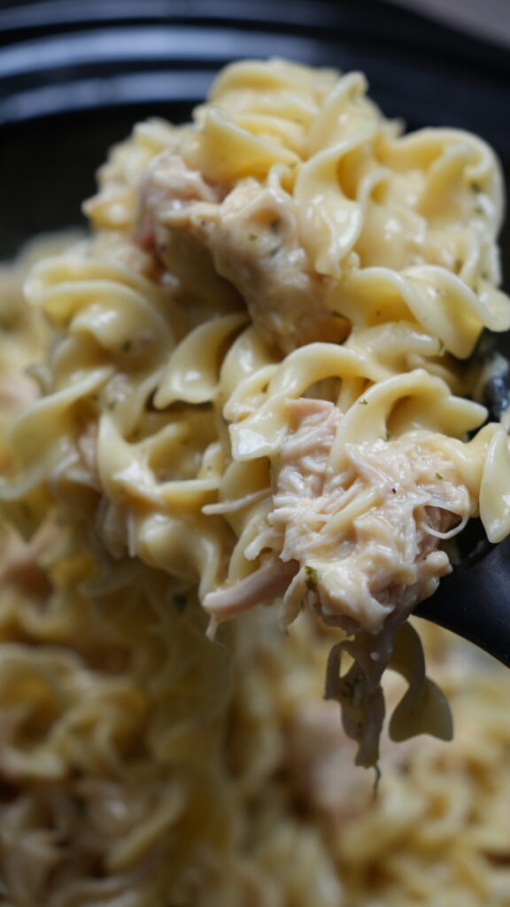 chicken and noodles