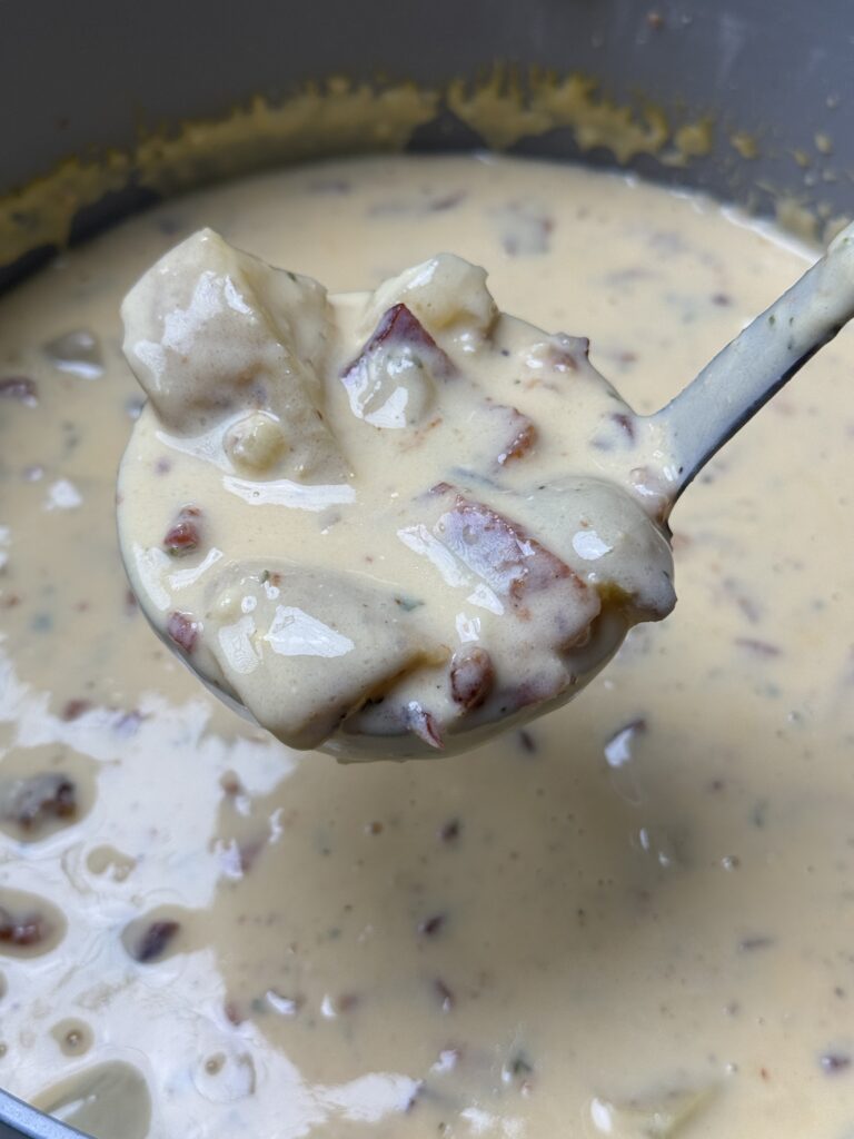 potato soup with ladle