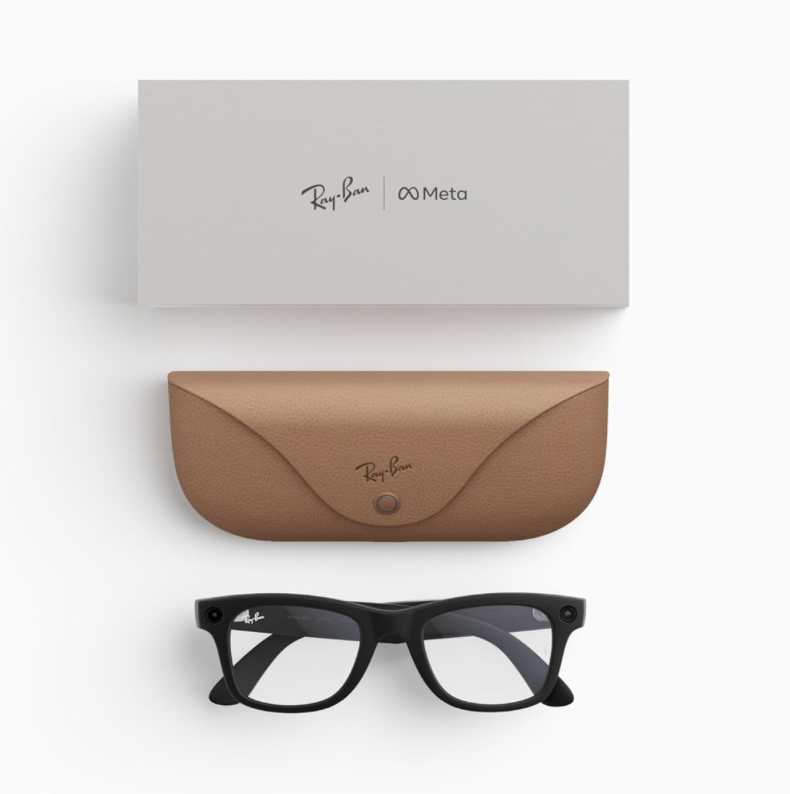 meta glasses