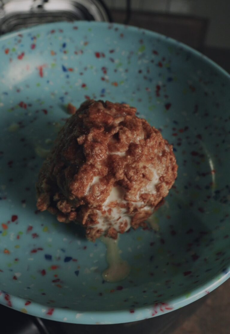 fried ice cream in a bowl