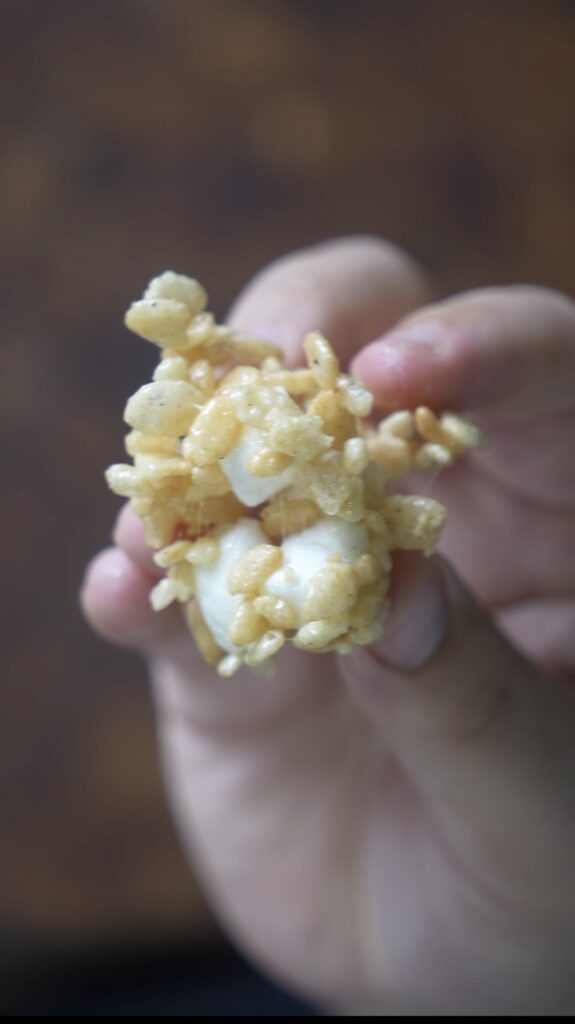 rice crispy square