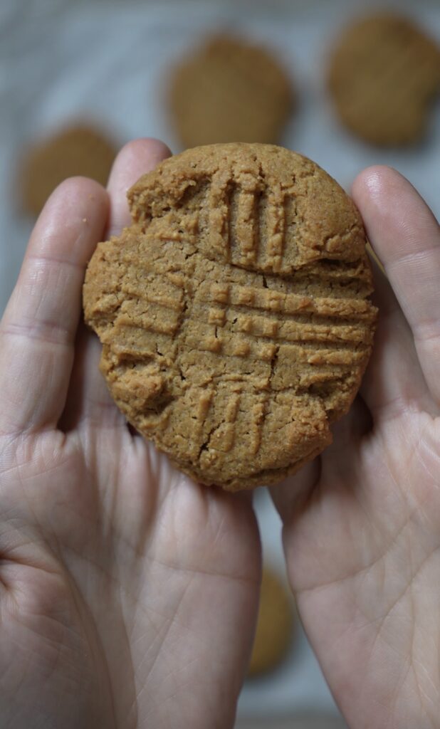 baked cookie close up